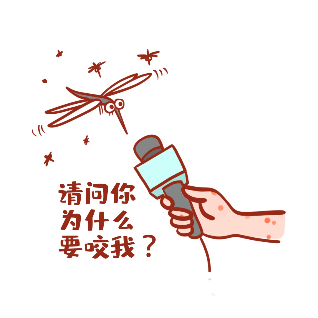 数十米内都能找到宿主?蚊子一定要追着我咬吗? 数十米内都能找到宿主?蚊子一定要追着我咬吗?