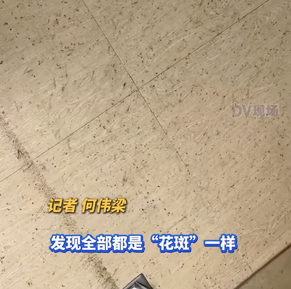 广州一条村被大量蚊子“围攻”!街道回应:已组织消杀 广州一条村被大量蚊子“围攻”!街道回应:已组织消杀