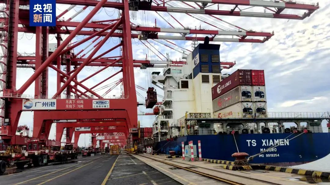 “签收”1564吨!爱吃这种鲜果的有口福了 “签收”1564吨!爱吃这种鲜果的有口福了