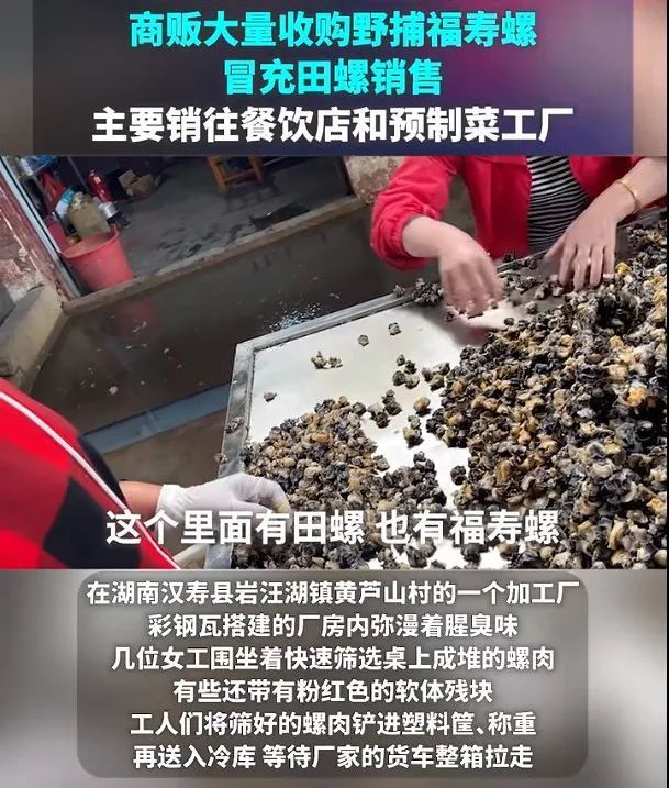别吃，一口下去6000条寄生虫！近期大量出现，多地集中清理