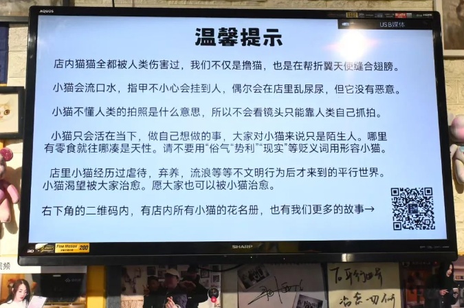 7年救助600多个“毛孩子”，95后北京小伙和他的“平行世界”