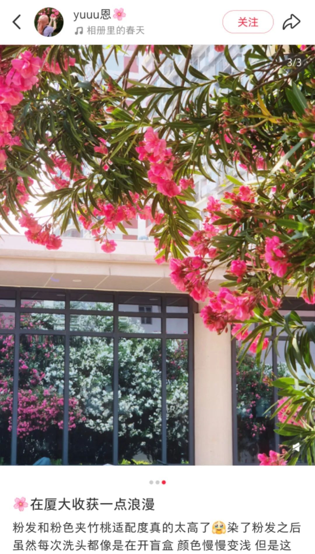 不要摘！这种花已在厦门街头出现！有毒！千万别碰！