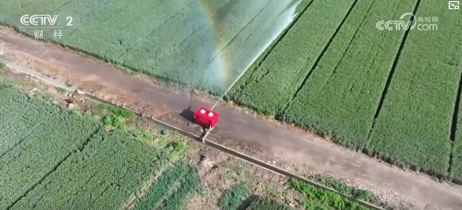 喷灌机器人让小麦喝上“解渴水” 科技抗旱助力夏粮丰产丰收 喷灌机器人让小麦喝上“解渴水” 科技抗旱助力夏粮丰产丰收