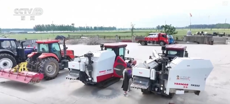 夯实丰收 端牢饭碗！小麦主产区增强服务保障 全力护航“三夏”机收