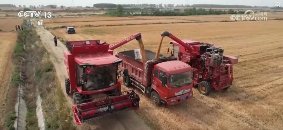 夯实丰收 端牢饭碗！小麦主产区增强服务保障 全力护航“三夏”机收