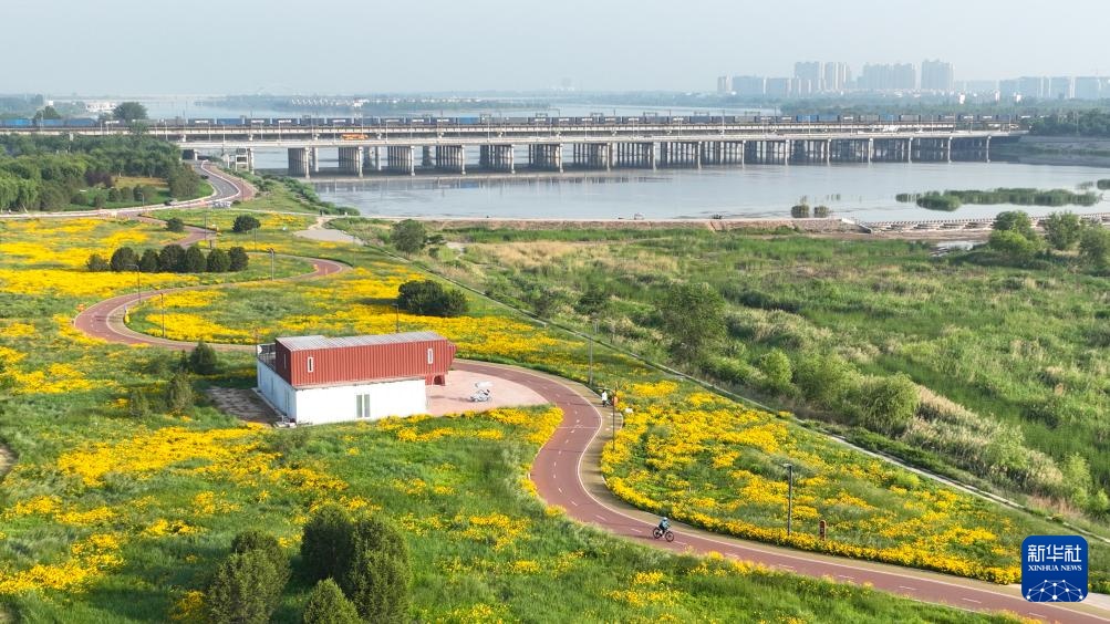 石家庄：城市更新让幸福在家门口“升级”