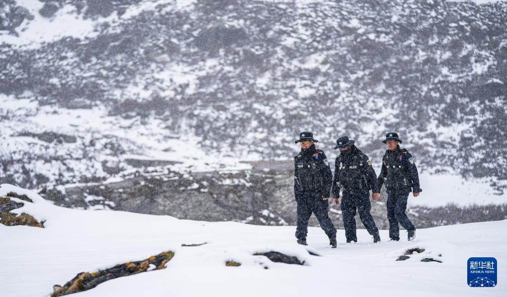 虫草采挖季：雪山前的匍匐寻觅