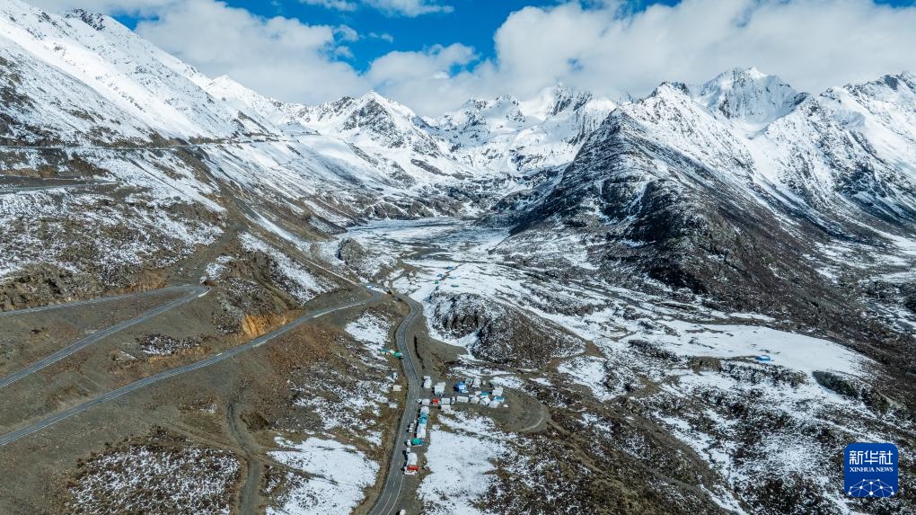 虫草采挖季：雪山前的匍匐寻觅