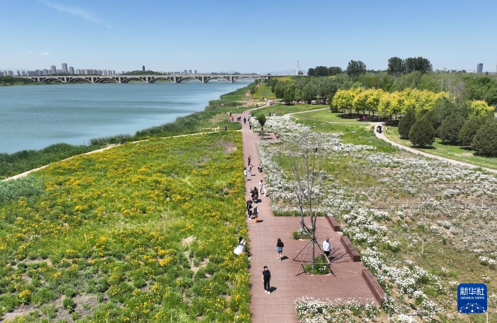 石家庄：城市更新让幸福在家门口“升级”