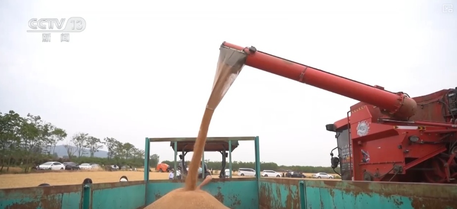 夯实丰收 端牢饭碗！小麦主产区增强服务保障 全力护航“三夏”机收