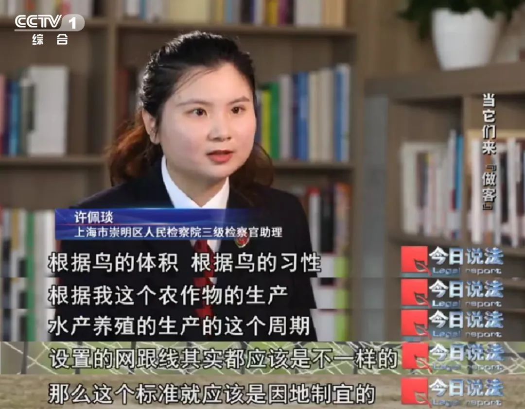 不能捕杀又驱赶不走，损失严重，人鸟“恩怨”如何解？|“国际生物多样性日”特别策划