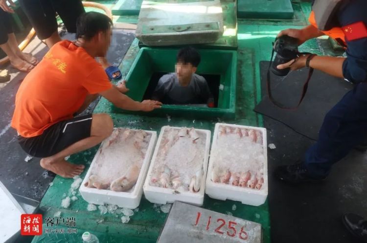 海南一地海警：接连查获3起违规捕捞案件 抓获涉案人员18人