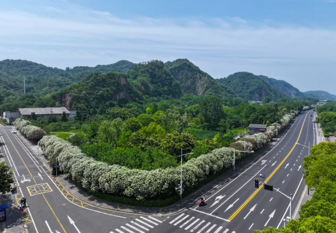 有毒,别乱摘乱碰!街头已出现 有毒,别乱摘乱碰!街头已出现