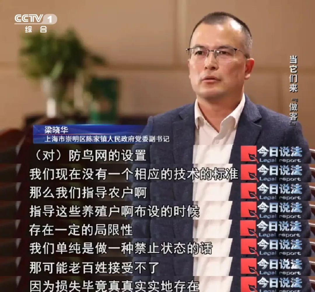不能捕杀又驱赶不走，损失严重，人鸟“恩怨”如何解？|“国际生物多样性日”特别策划