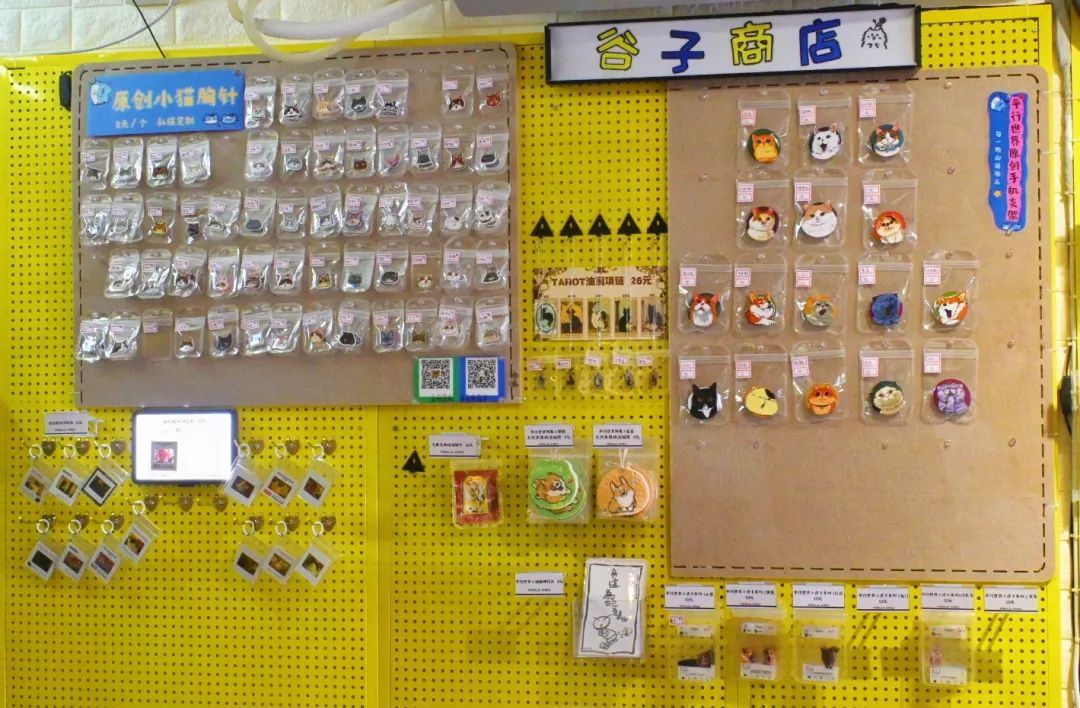 7年救助600多个“毛孩子”，95后北京小伙和他的“平行世界”