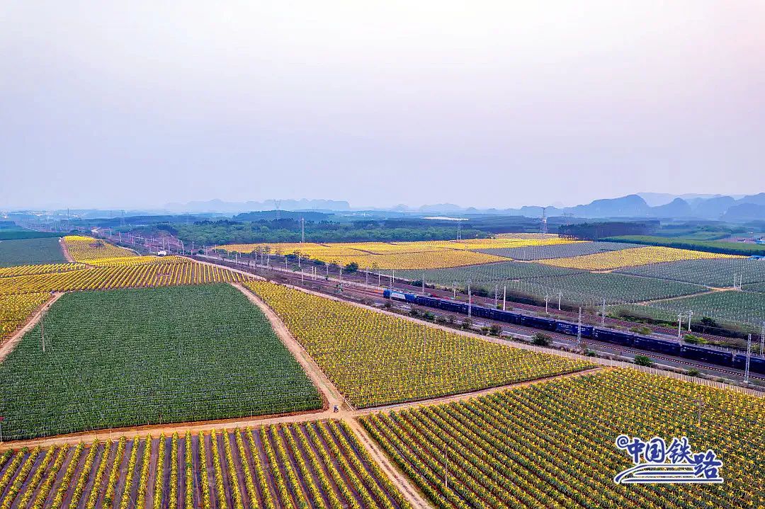 坐高铁不想看手机的原因，找到了！