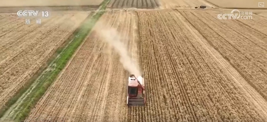 夯实丰收 端牢饭碗！小麦主产区增强服务保障 全力护航“三夏”机收