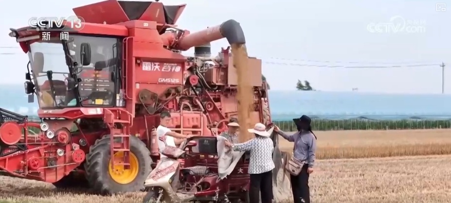 夯实丰收 端牢饭碗！小麦主产区增强服务保障 全力护航“三夏”机收