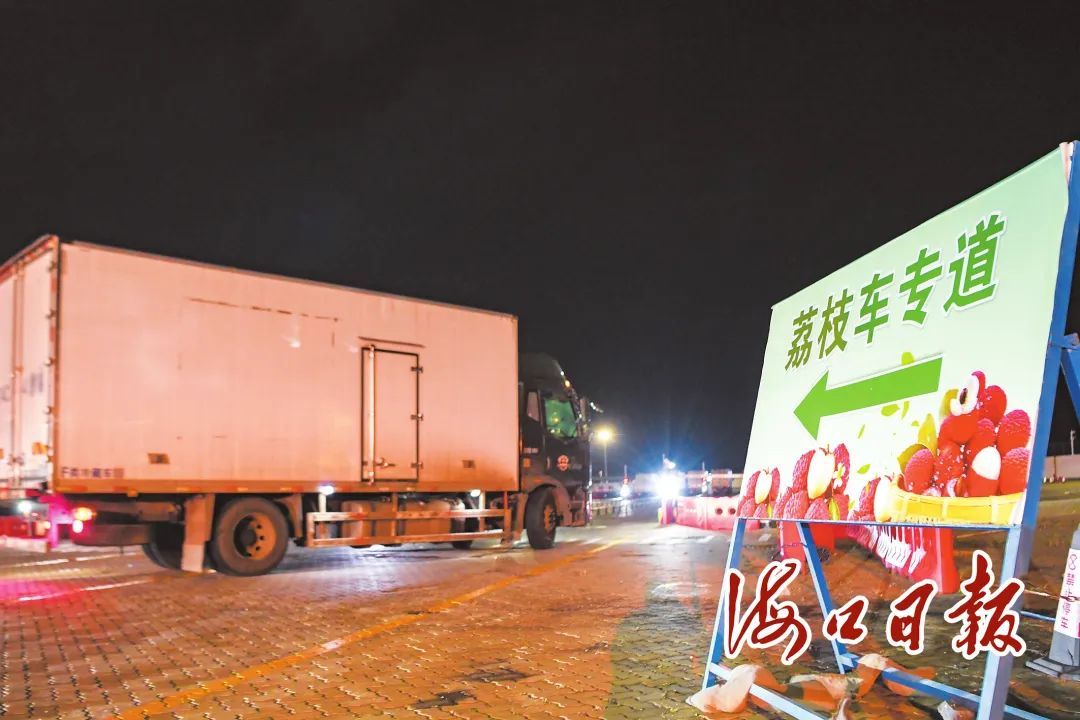 “甜蜜”出岛!海口新海港开设荔枝运输车专班 “甜蜜”出岛!海口新海港开设荔枝运输车专班