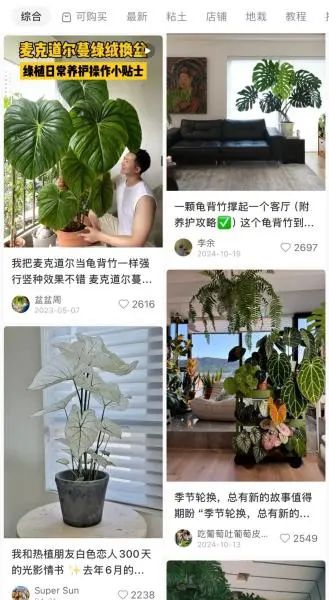 百元入局,万元进阶!在宁波靠卖叶子能赚钱吗? 百元入局,万元进阶!在宁波靠卖叶子能赚钱吗?