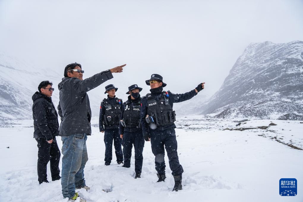 虫草采挖季：雪山前的匍匐寻觅