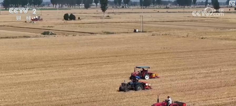 夏粮收购在即:新季小麦质好量足 调控措施稳市场保收购 夏粮收购在即:新季小麦质好量足 调控措施稳市场保收购