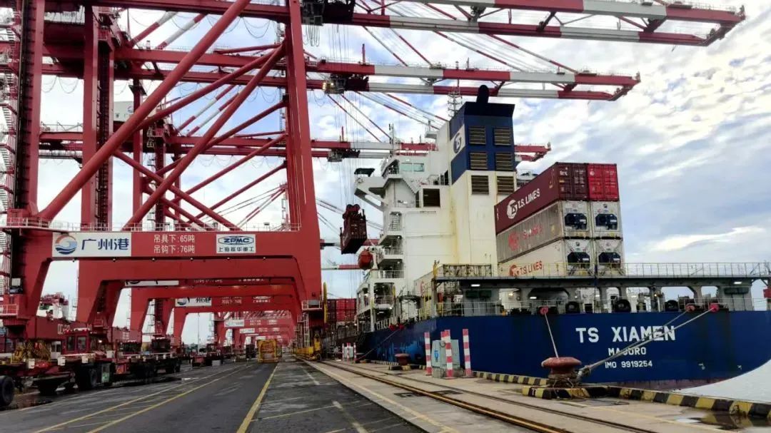 1564吨新鲜泰国榴莲抵达广州,本月价格将大降 1564吨新鲜泰国榴莲抵达广州,本月价格将大降