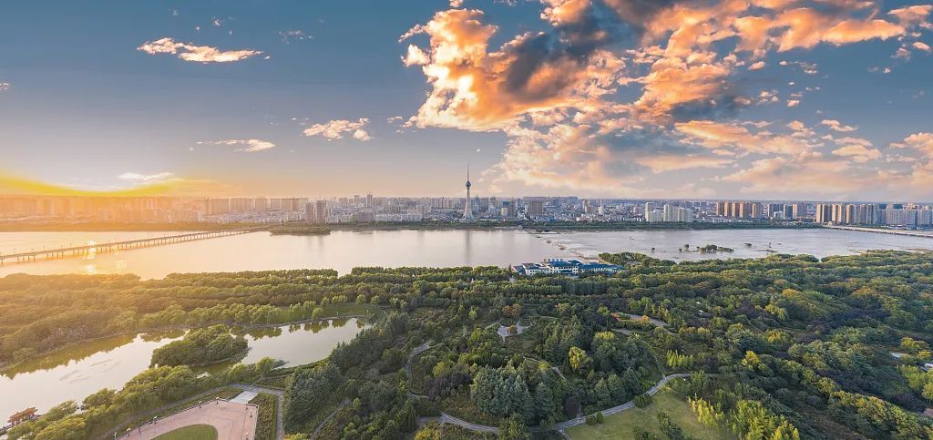 总要去一趟洛阳吧！