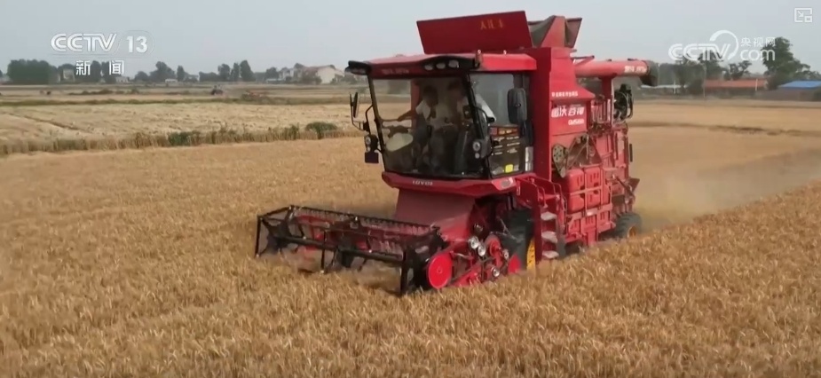 夯实丰收 端牢饭碗！小麦主产区增强服务保障 全力护航“三夏”机收