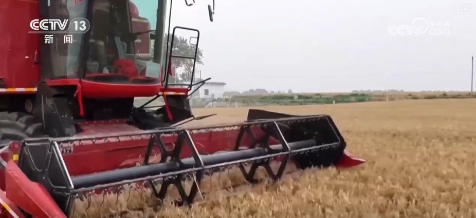 夯实丰收 端牢饭碗！小麦主产区增强服务保障 全力护航“三夏”机收