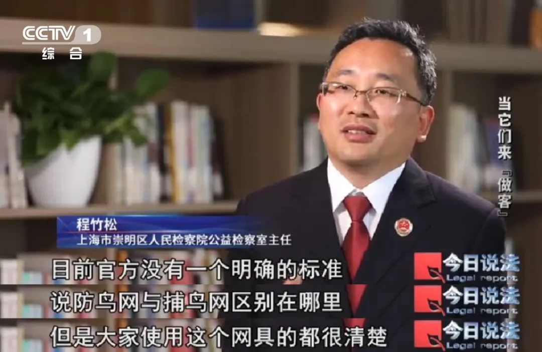 不能捕杀又驱赶不走，损失严重，人鸟“恩怨”如何解？|“国际生物多样性日”特别策划