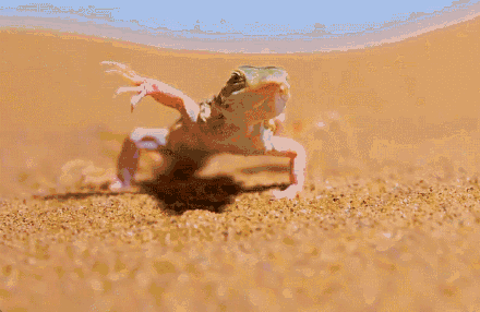 热到烫伤!北方多地地面温度已超70度 热到烫伤!北方多地地面温度已超70度