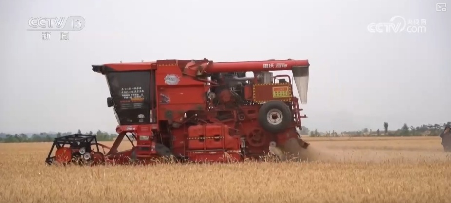 夯实丰收 端牢饭碗！小麦主产区增强服务保障 全力护航“三夏”机收