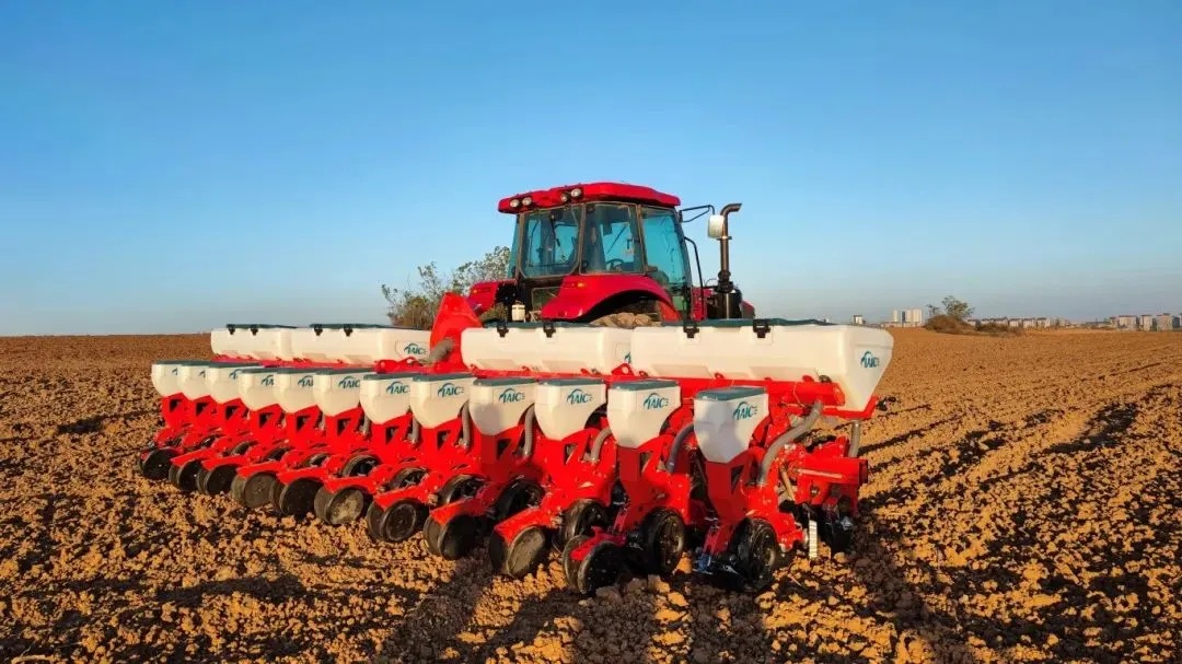 总要去一趟洛阳吧！