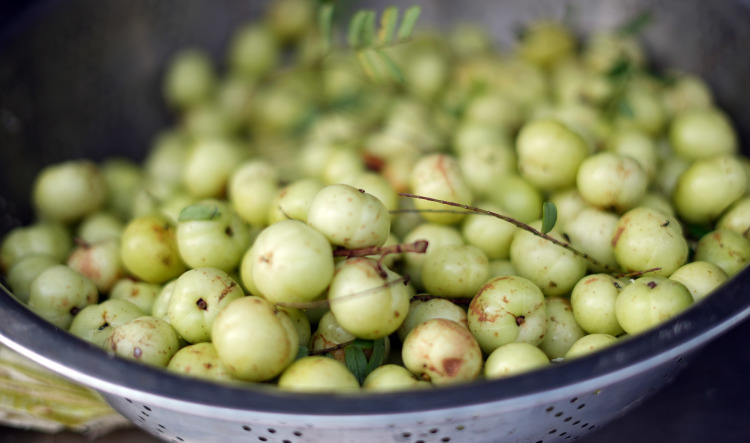 这种水果维生素C含量是橙子的近8倍,也被誉为“刮油神器”! 这种水果维生素C含量是橙子的近8倍,也被誉为“刮油神器”!