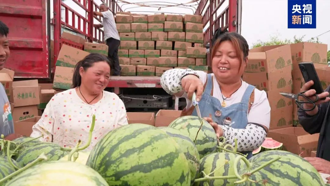 拍拍西瓜就能月入过万?这类人才很抢手 拍拍西瓜就能月入过万?这类人才很抢手