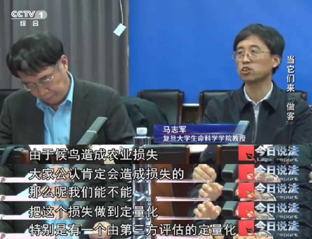 不能捕杀又驱赶不走，损失严重，人鸟“恩怨”如何解？|“国际生物多样性日”特别策划