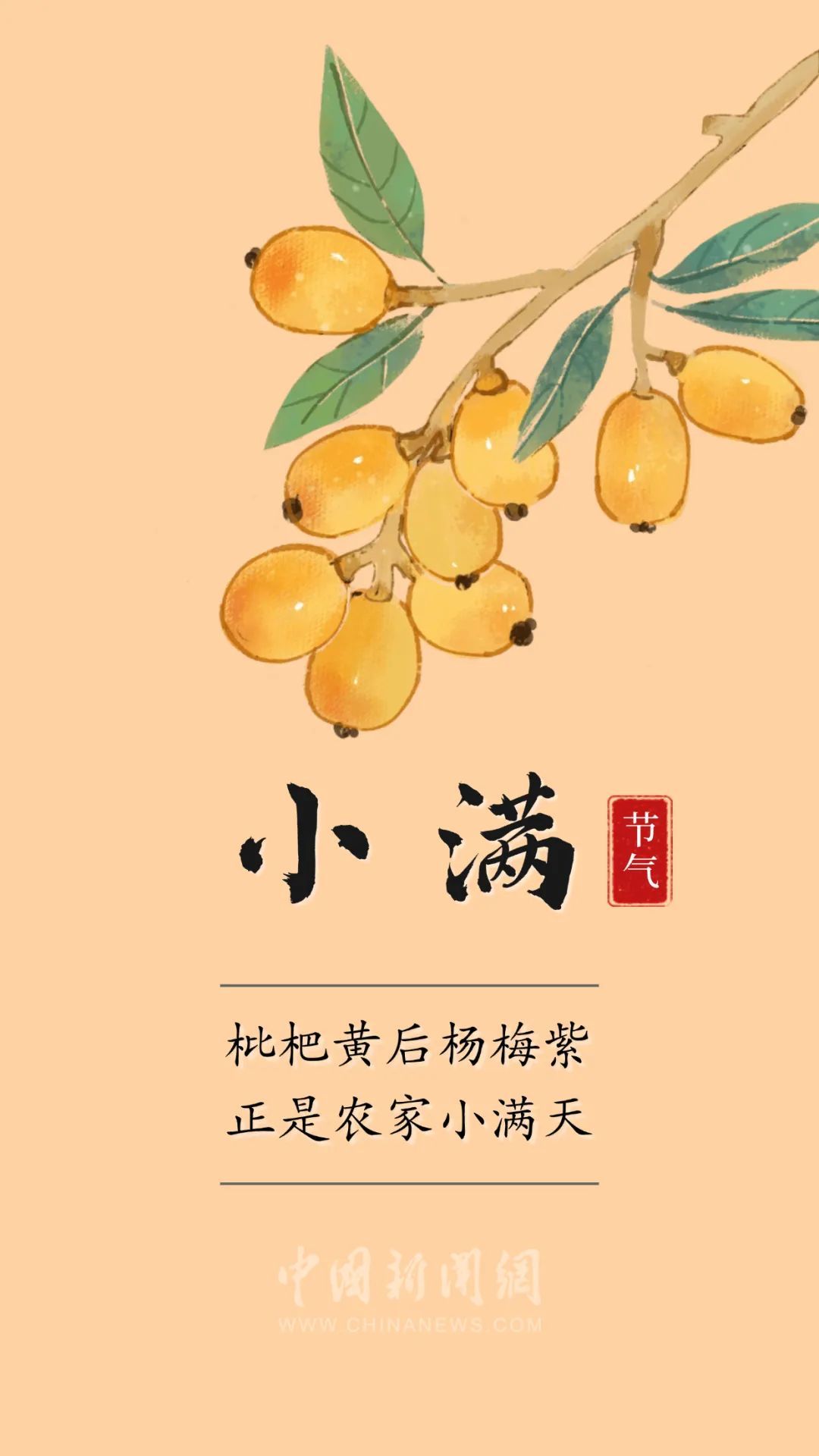 你的小满朋友圈文案，来了