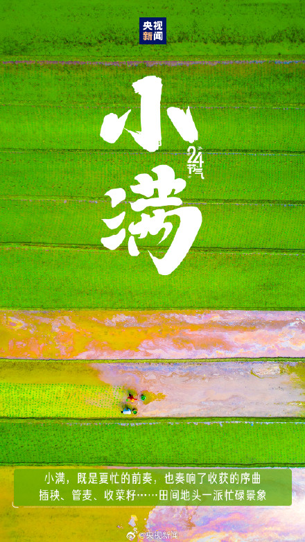 521遇上小满传递祝福,愿你收获双倍美好! 521遇上小满传递祝福,愿你收获双倍美好!