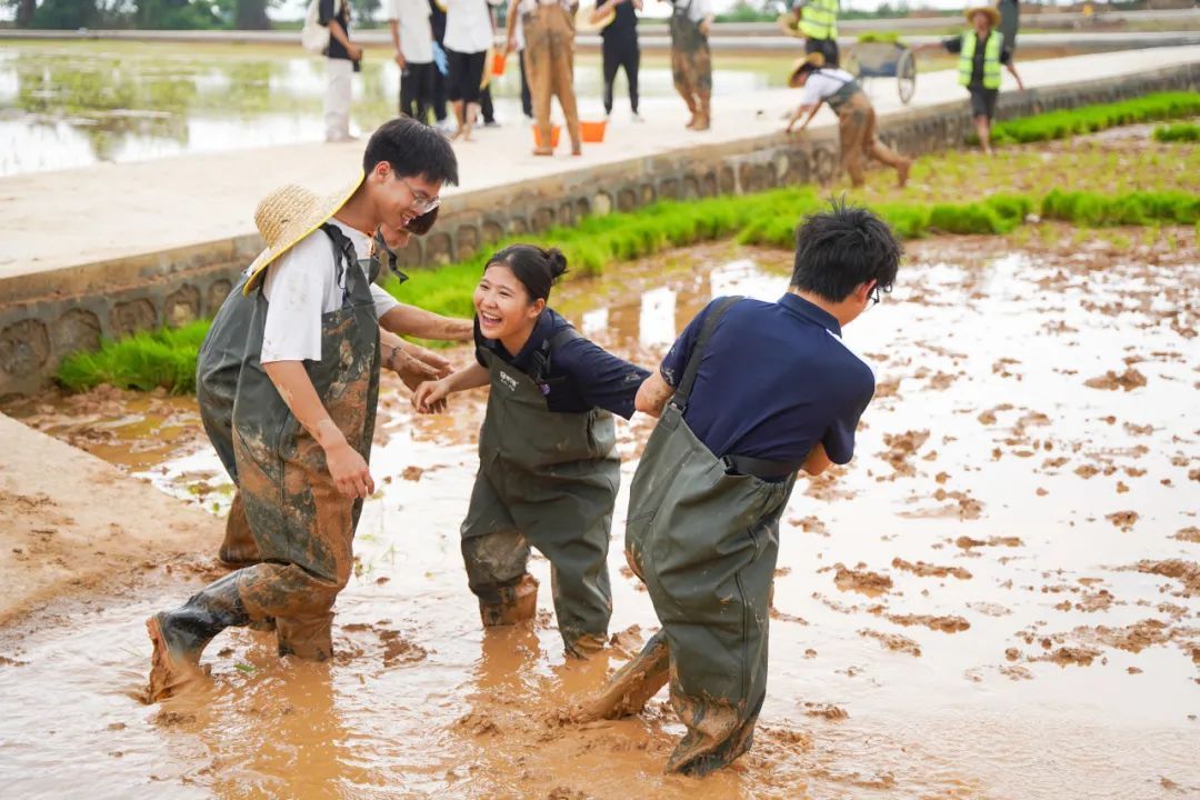 你怎么不看手机啊?“勿扰,在种地!” 你怎么不看手机啊?“勿扰,在种地!”