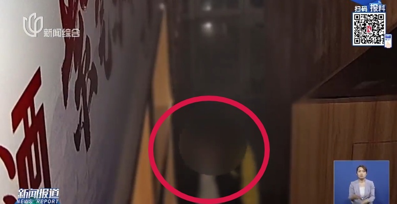 教唆10多位"00后"多区疯狂作案！上海警方：徐某张某夫妇，依法批捕