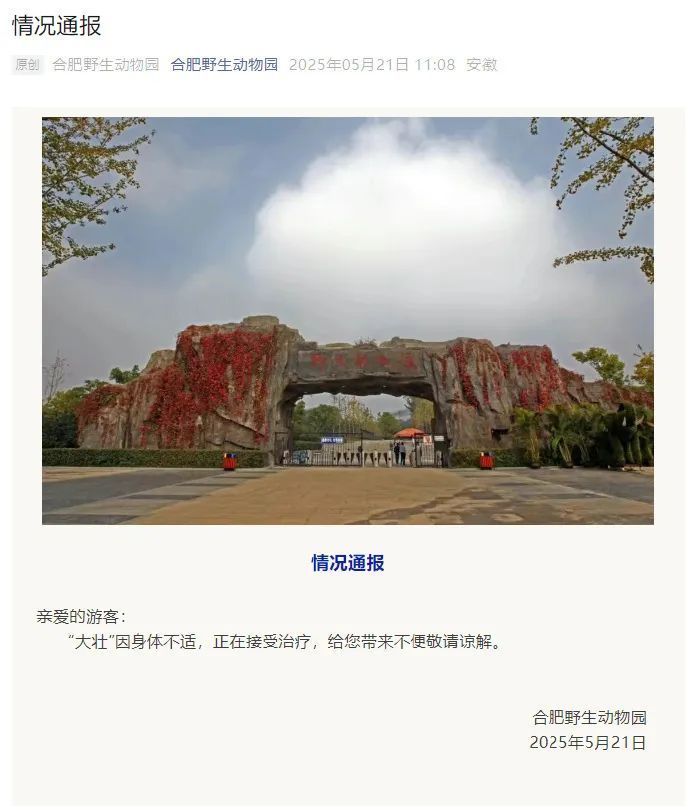 合肥野生动物园国字脸猴“大壮”生病了！