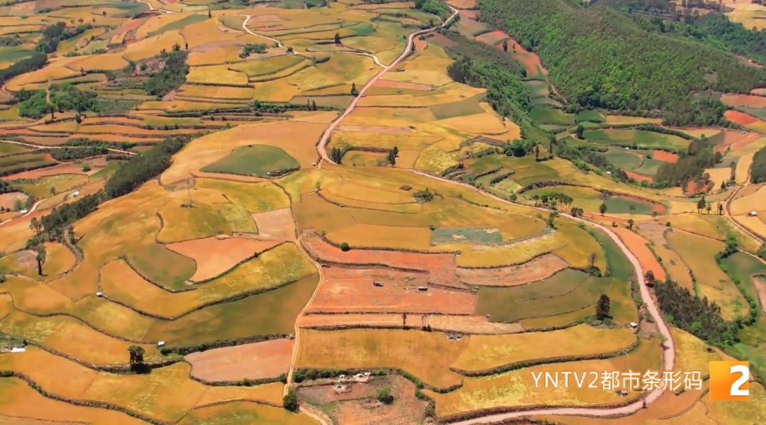 雷电、大风、冰雹、短时强降水……云南这些地方今夜开启“降雨模式”! 雷电、大风、冰雹、短时强降水……云南这些地方今夜开启“降雨模式”!