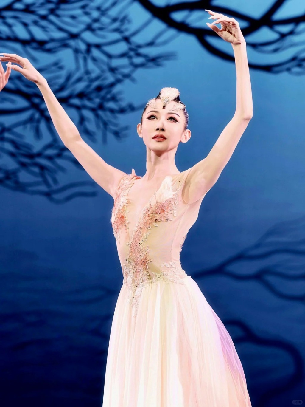 梅花奖在上海丨好戏在上海不缺观众，冷门剧种叫好又叫座