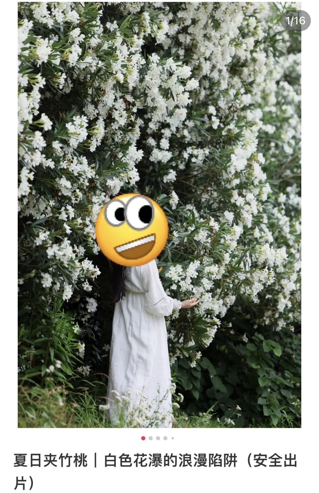 别碰!别碰!别碰!上海最近很常见…毒性很大,暗藏致命危险 别碰!别碰!别碰!上海最近很常见…毒性很大,暗藏致命危险