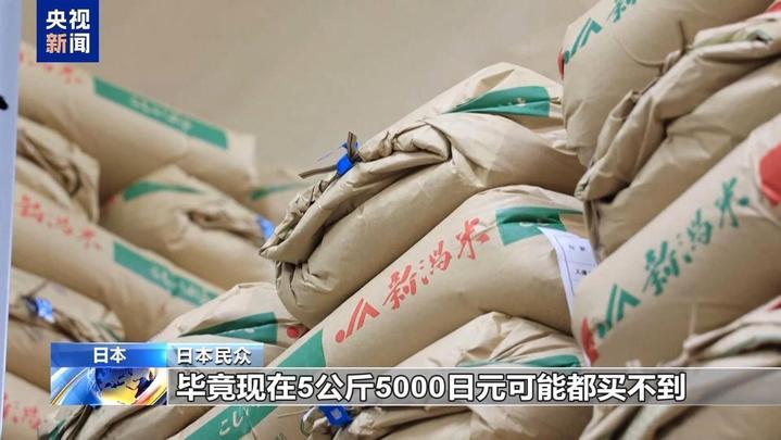 米价翻番，买不起！日本民众称从天天米饭到每周三次