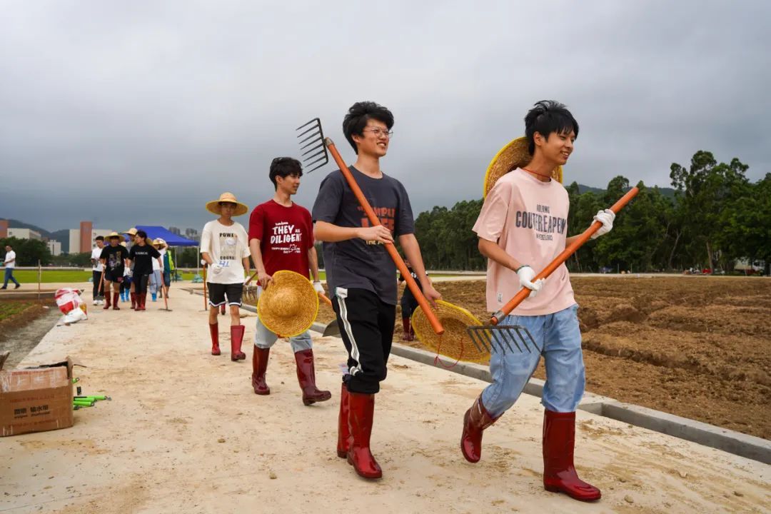 你怎么不看手机啊?“勿扰,在种地!” 你怎么不看手机啊?“勿扰,在种地!”