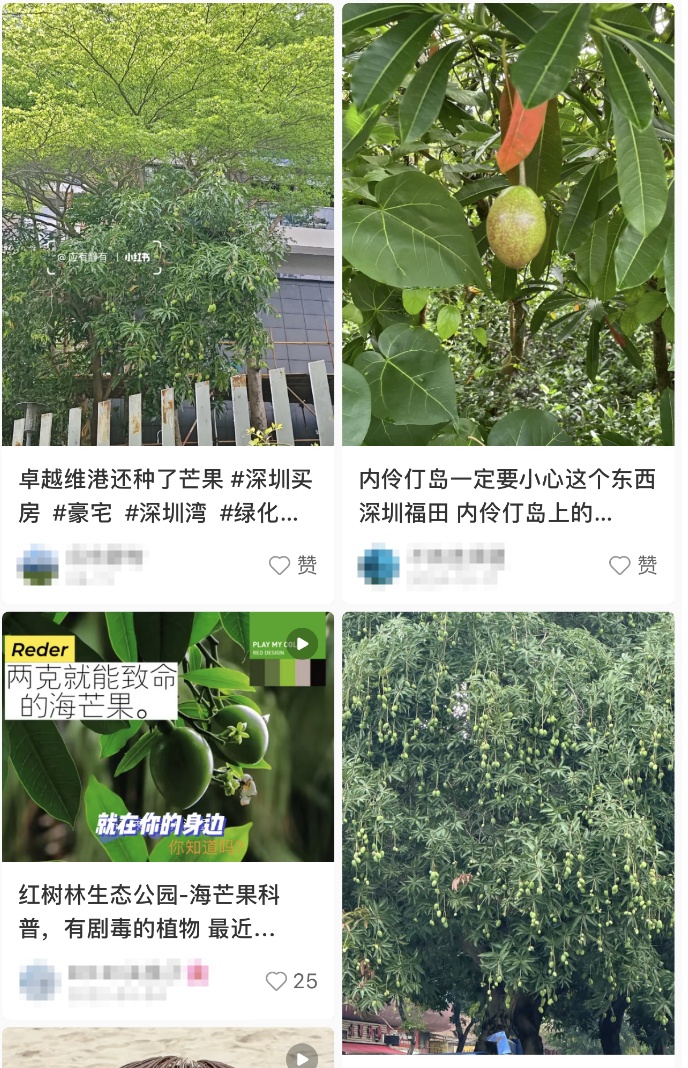 剧毒！别碰！别摘！别吃！