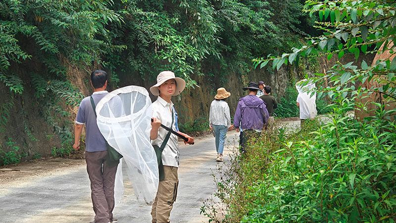 西藏发现毒蛾亚科2种新物种 西藏发现毒蛾亚科2种新物种