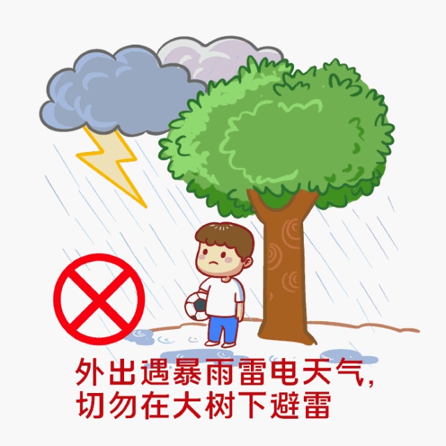 申城雷电黄色预警高挂！早上9号线雨天打滑限速运行！今夜雨止，何时入梅？